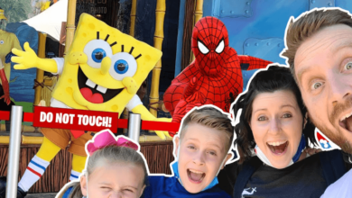 Kid City Family Net Worth