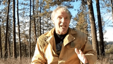 Paul Harrell Net Worth