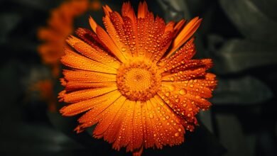 call drop duration analysis