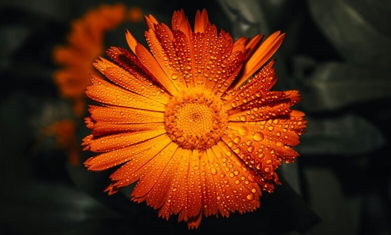 call drop duration analysis