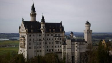 callback probability prediction model