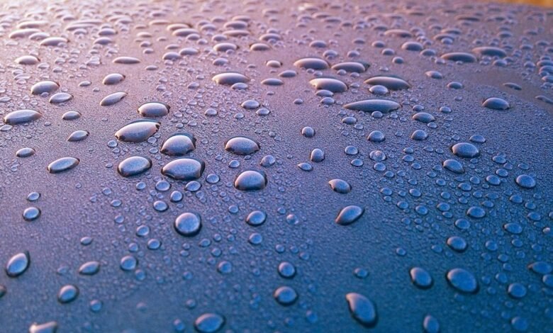 early morning call patterns