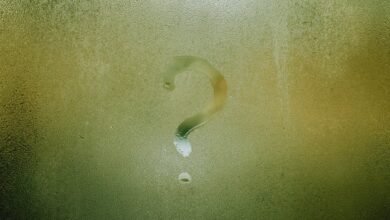 hanuman chalisa english meaning