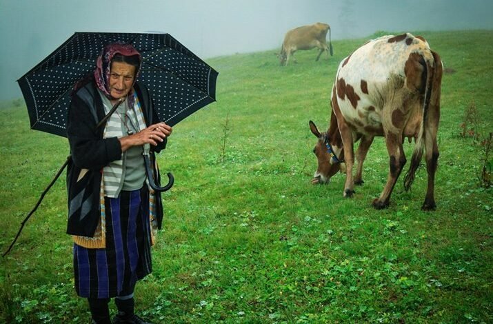 latest weather updates turkey