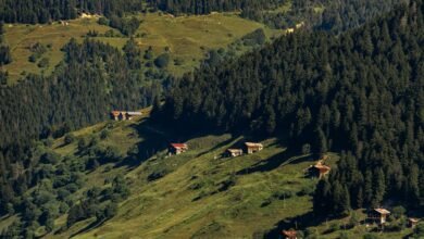 long duration callers analysis report