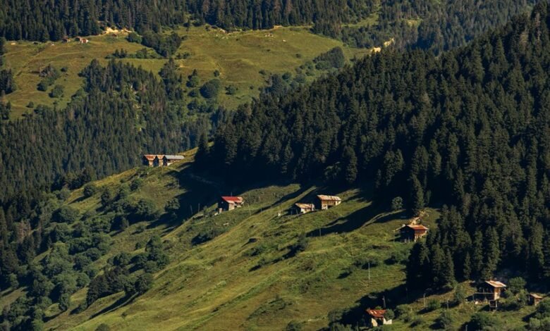 long duration callers analysis report