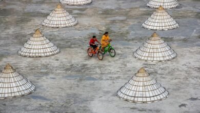 missed call activity trends