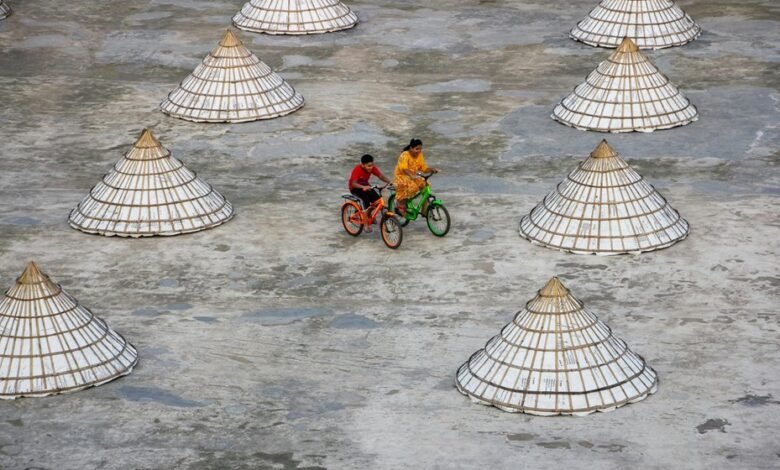 missed call activity trends