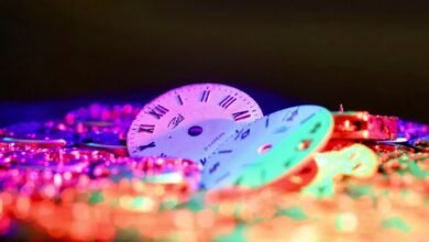 toll free number user segments