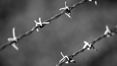 caller risk management division