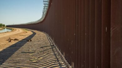 telecom safety regulation division